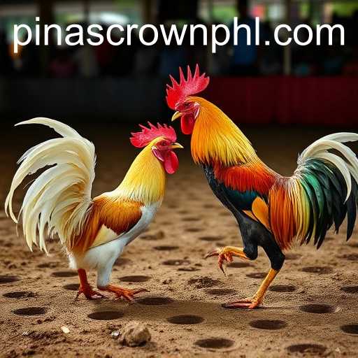 Cockfighting: A Cultural Tradition and Controversy